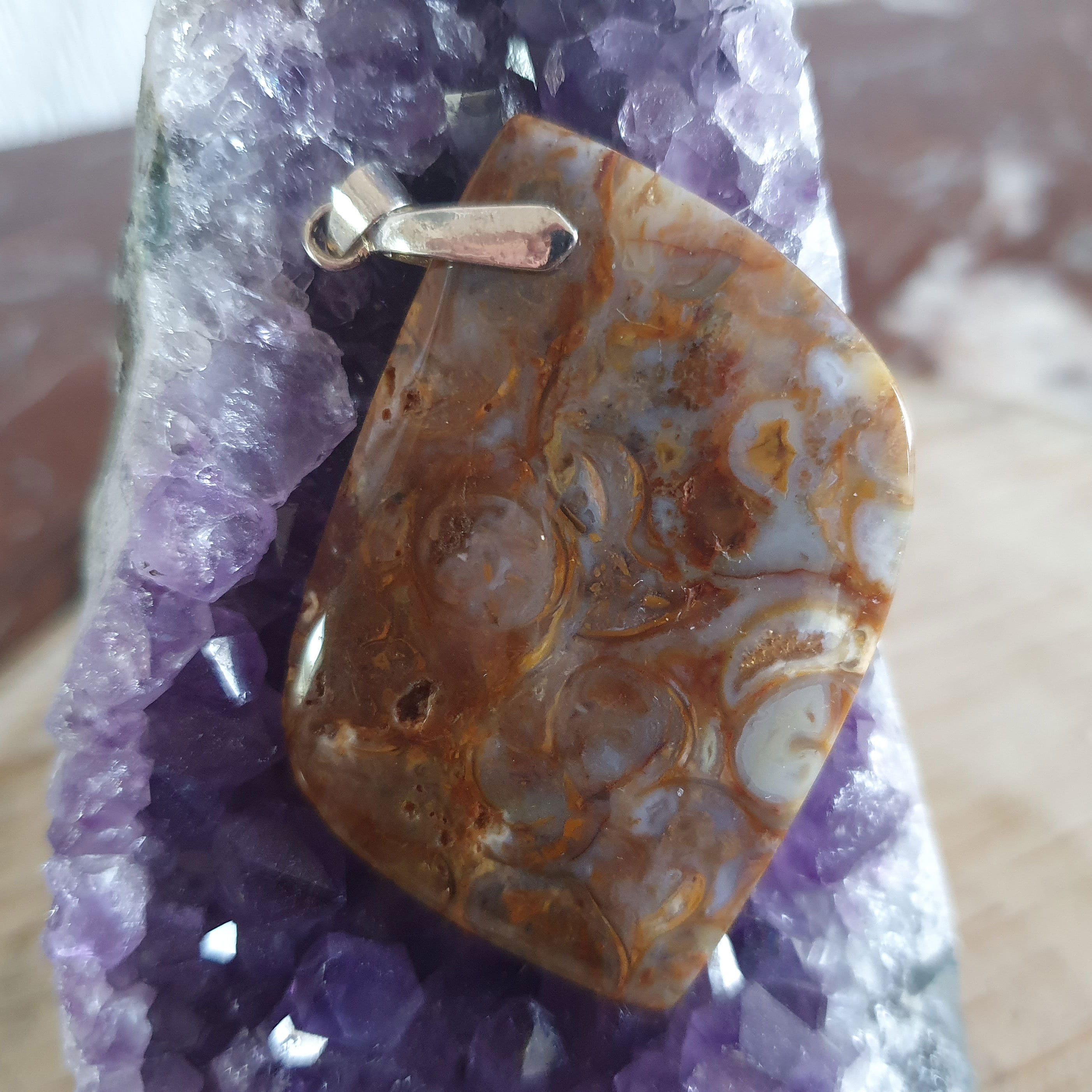 Agate Escargot Fossile