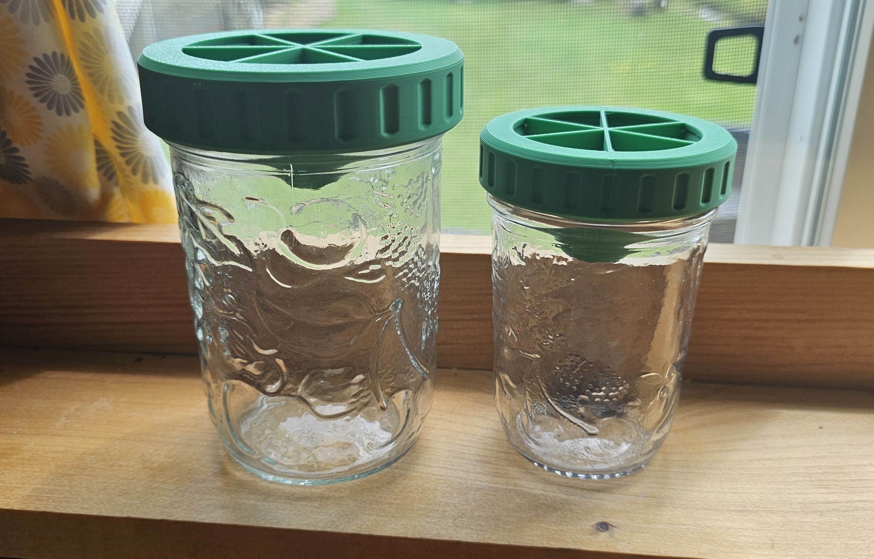 How to Get Rid of Fruit Flies Fast, According to Experts