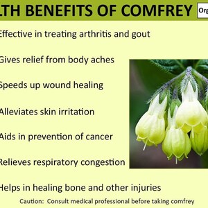 Comfrey Herbal Poweder 16oz Glass Jar - Etsy