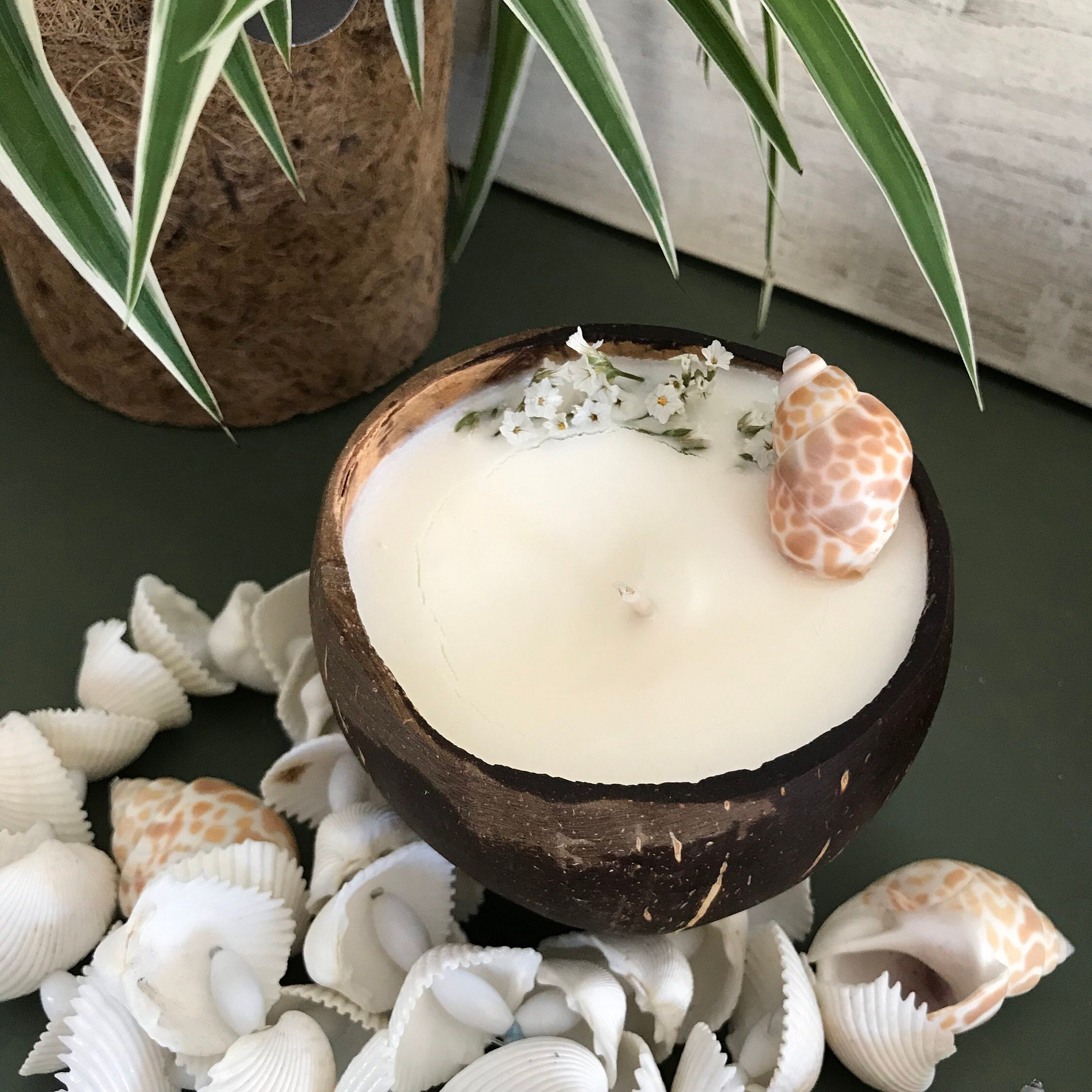 Bougie Voyageuse - Bougie Dans Une Noix de Coco Candle in A Coconut