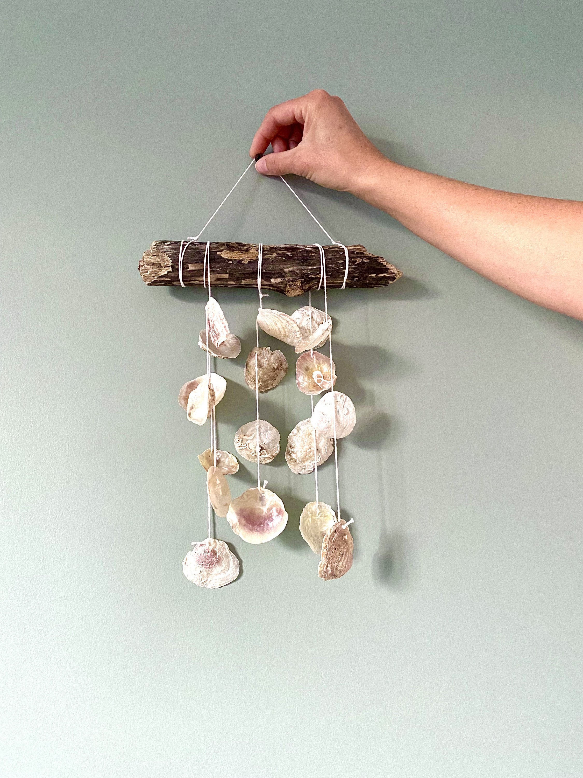 Mobile à Vent 5 Fils - Carillon en Coquillage Décoration Murale