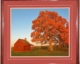 May include: A red wooden cabin with a porch sits in a field with a large orange maple tree in the background. The sky is blue and the leaves on the tree are changing color.