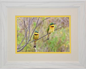 Little Bee-eater Photograph, Serengeti Africa, Matted Print