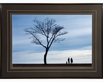 Family Tree Framed Photograph by David Fingerhut
