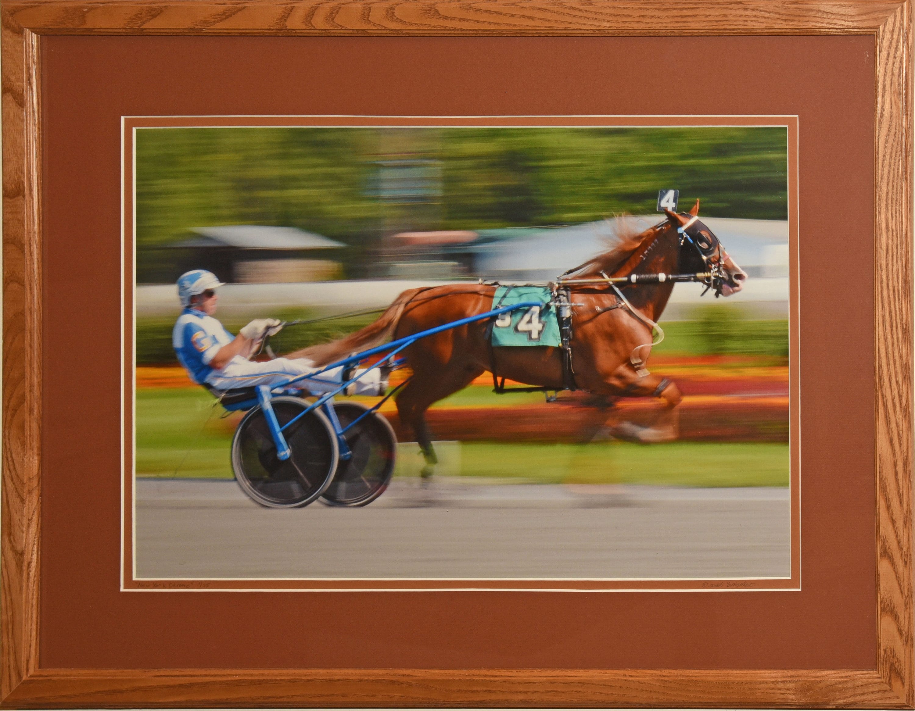 Saratoga Harness Schedule - mj8p4ov