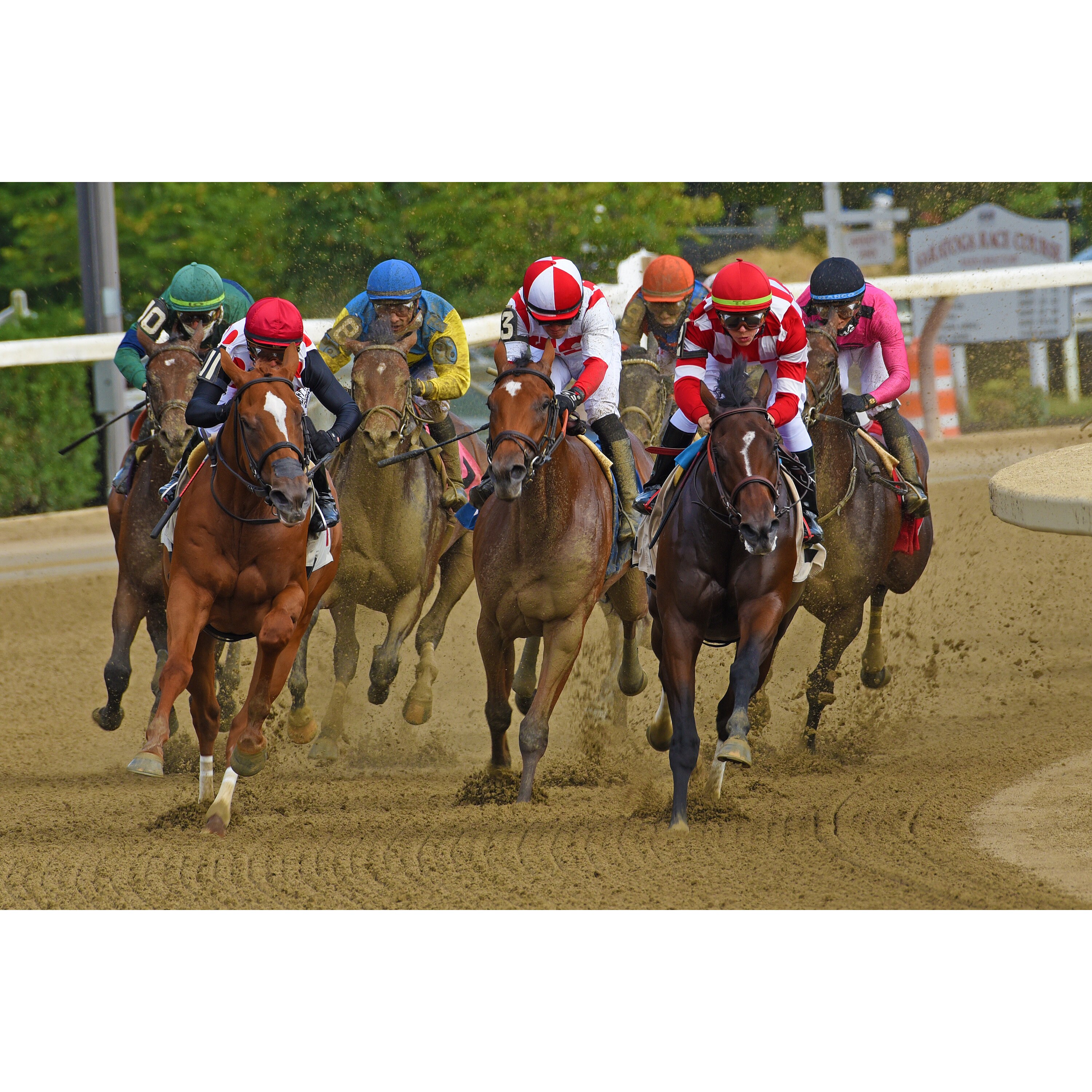 Leading Jockeys At Saratoga - k385tdj