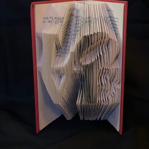 AMO a arte do livro dobrado