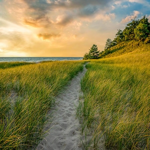 Michigan Summer Beach - Lake Michigan, High-Quality Prints, Wall Art, Beach House Decor, Beach Photography, Dune Grass, Summer, Sunset Image