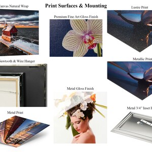 May include: A comparison of different print surfaces and mounting options for artwork.  The options include canvas wrap, lustre print, metallic print, metal gloss finish, and a metal 3/4 inch inset frame.
