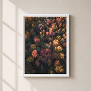 May include: A vertical framed wall art print featuring an aerial view of a dense forest during autumn. The trees display a vibrant mix of fall foliage in shades of deep red, bright orange, golden yellow, and dark green, captured from above.