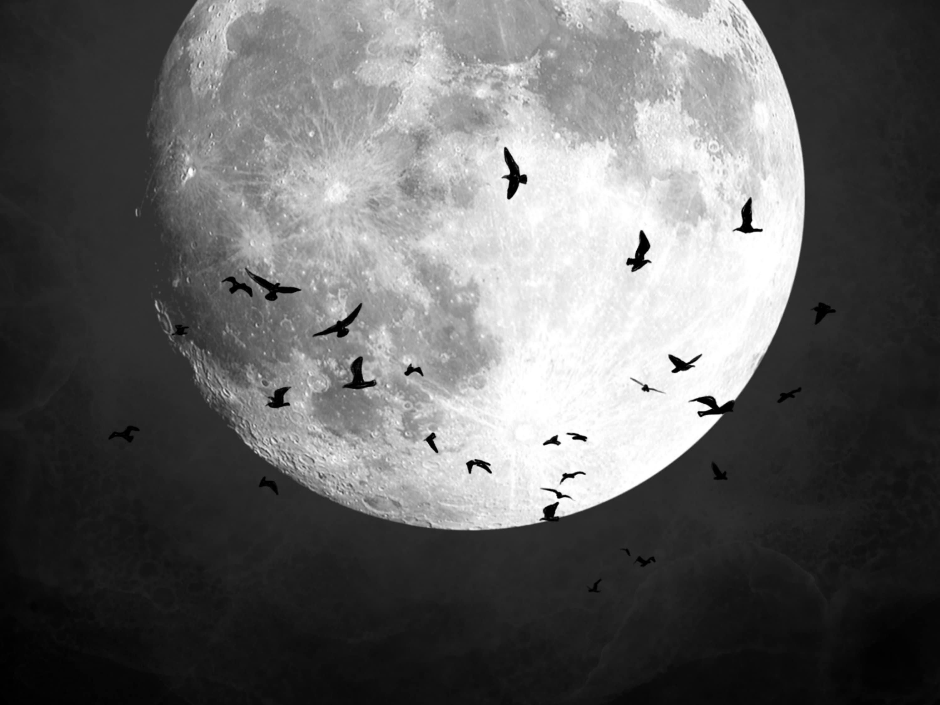 Moon Art Print Black and White Wall Art DIGITAL DOWNLOAD - Etsy