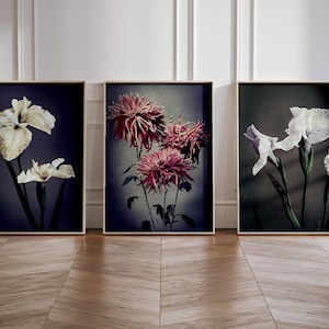 Vintage Botanical Wall Art, Flower, Set of 3 Prints, French Decor, Living Room Decor, Gallery Wall, Large Wall Art, Cottagecore, Moody