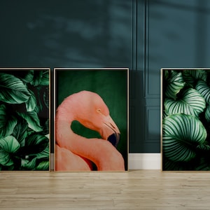 Smaragdgroene kunst aan de muur · Botanische set van 3 prints · Flamingo Afdrukken · Donkergroene kunst aan de muur · Maximalistisch Decor · Donkere slaapkamer Decor