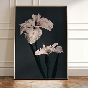 Vintage Blumen Wand Kunst, botanische Wandkunst, Vintage Malerei, dunkel Academia, Wohnzimmer Dekor, Schlafzimmer, stimmungsvolles eklektisches Dekor, groß