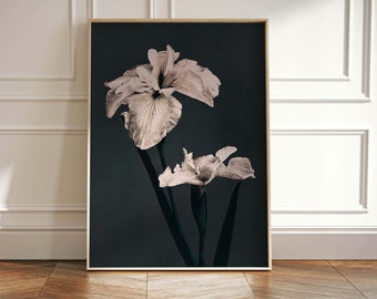 Vintage Flower Wall Art Print, Botanical Wall Art, Vintage Painting, Dark Academia, Living Room Decor, Bedroom, Moody Eclectic Decor, Large