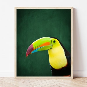 Tropical Wall Art DIGITAL DOWNLOAD Toucan Print · Printable Wall Art · Bold Interior ·  Eclectic Decor · Green Wall Art · Maximalist Decor