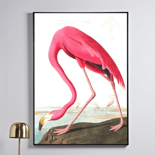 Flamingo Art Print · Pink Flamingo Poster · Vintage Art · Tropical Art · Large Wall Art · Botanical Print · Pink Wall Art · Maximalist Decor