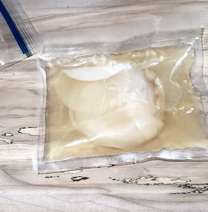 White Tea Honey Jun Kombucha Scoby and Starter Etsy