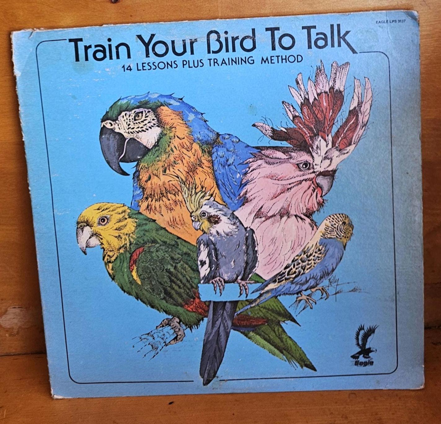 How to Train a Bird to Talk