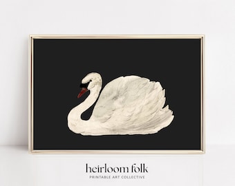 May include: A white swan with a red beak and black eyes is depicted against a black background. The swan is in a resting position with its head turned to the side. The image is framed with a gold border.
