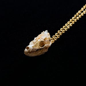 May include: A gold chain necklace featuring a pendant shaped like a reptile skull. The skull is off-white with gold leaf accents and a clear crystal. The background is solid black.