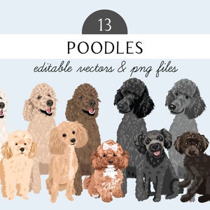 Pudel Clip Art - Hunderasse 13 Editierbare Hunde Vektor Art - Pudel Hund Vector Art - Standard Pudel - Spielzeug Pudel - Teetasse Pudel - EPS SVG PNG