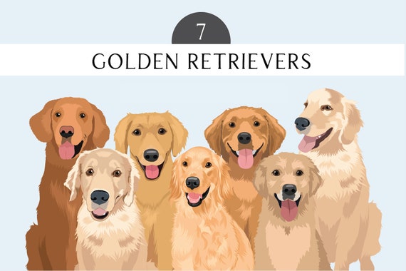 Golden Retriever Clip Art - Dog Breed Vector Pack - Golden Retrievers Dog Vector Art PNG - PNG Golden Retriever Clip Art