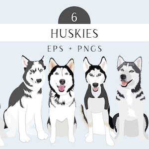 Image clipart husky - pack de vecteurs éditables de race de chien - art vectoriel chien husky au format EPS et PNG - illustrations de race de chien