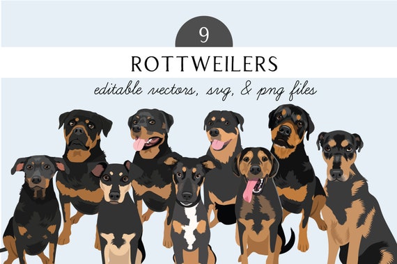 Rottweiler Clip Art - Dog Breed Editable Vector Pack - Rottweilers Dog Vector Art in EPS PNG