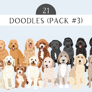 Labradoodle Clip Art - Dog Breed 21 Dogs PNG  Bundle - Goldendoodle Dog Art - Poodle Mix - Lab Mix - Dogs PNG Clip Art
