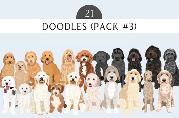 Labradoodle Clip Art - Dog Breed 21 Dogs PNG  Bundle - Goldendoodle Dog Art - Poodle Mix - Lab Mix - Dogs PNG Clip Art