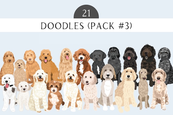 Labradoodle Clip Art - Dog Breed 21 Dogs PNG  Bundle - Goldendoodle Dog Art - Poodle Mix - Lab Mix - Dogs PNG Clip Art