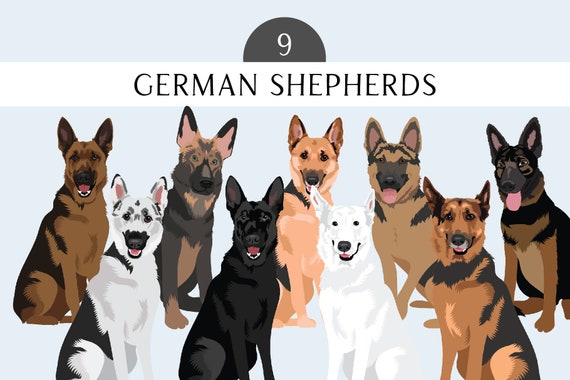 German Shepherd Clip Art - Dog Breed Illustrations - German Shepherd Illustration Pack - German Shepherd Art  Dog PNG