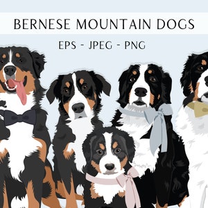 Berner Sennenhund Clip Art - Hunde Editierbare Vektor Pack - Berner Sennenhund Vektor Art in EPS PNG und JPEG Format