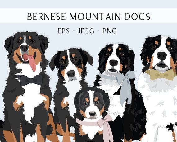 Bernese Mountain Dog Clip Art - Dogs Editable Vector Pack - Bernese Mountain Dog Vector Art in EPS PNG and JPEG format