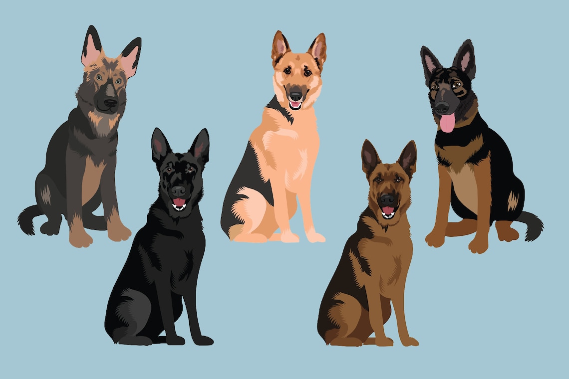German Shepherd Clip Art Dog Breed Illustrations German - Etsy