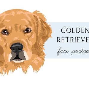 Golden Retriever Clip Art - Golden Retriever Portrait PNG JPG
