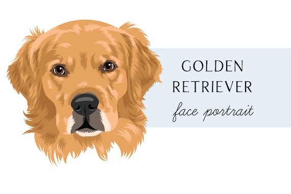 Golden Retriever Clip Art - Golden Retriever Portrait PNG JPG