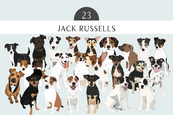 Jack Russell Terrier Clip Art EPS PNG SVG - Dog Breed Dogs Bundle - Jack Russell Terrier Dog Art - Jack Russell Mix Dogs Clip Art