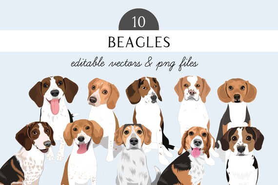 Beagle Clip Art - Dog Breed Editable Vector Pack - Beagle Dog Vector Art in EPS and PNG format