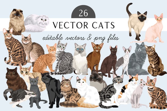 Cats Clip Art Bundle with 26 Detailed Cat Illustrations - Cat EPS files - Editable Cat Art- Cat Illustrations - Cat PNG - Cat Artwork