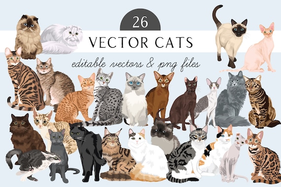 Cats Clip Art Bundle with 26 Detailed Cat Illustrations - Cat EPS files - Editable Cat Art- Cat Illustrations - Cat PNG - Cat Artwork