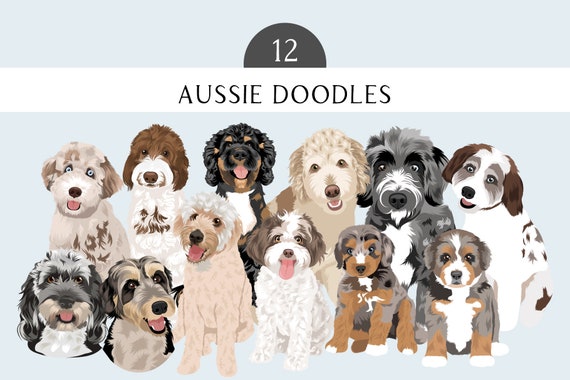 Aussie Doodle Clip Art - Dog Breed Editable Vector Pack - Aussiedoodle Dog Vector Art in EPS PNG and JPEG format