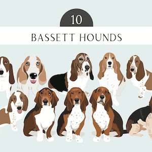 Bassett Hounds Dog Clip Art EPS PNG SVG - Bassett Hounds  Dog Breed Dogs Bundle - Bassett Hounds  Dog Art - Bassett Hounds Mix Dogs Clip Art