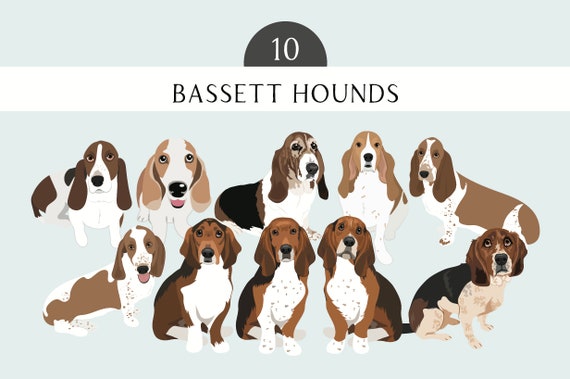Bassett Hounds Dog Clip Art EPS PNG SVG - Bassett Hounds  Dog Breed Dogs Bundle - Bassett Hounds  Dog Art - Bassett Hounds Mix Dogs Clip Art