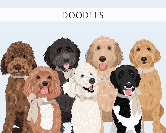 Labradoodle Clip Art - Dog Breed Illustration Pack - Goldendoodle Dog Clip Art Art  - Dog PNG - Poodles - Doodles