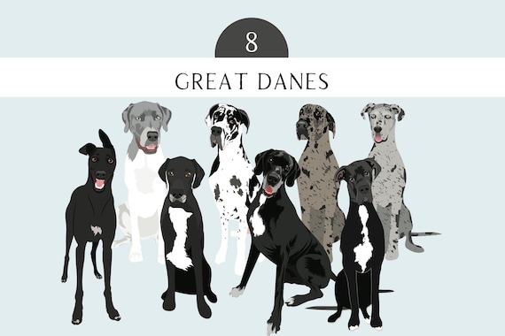 Great Danes Dog Clip Art EPS PNG SVG - Great Danes Dog Breed Dogs Bundle - Great Danes Dog Art - Great Danes Mix Dogs Clip Art