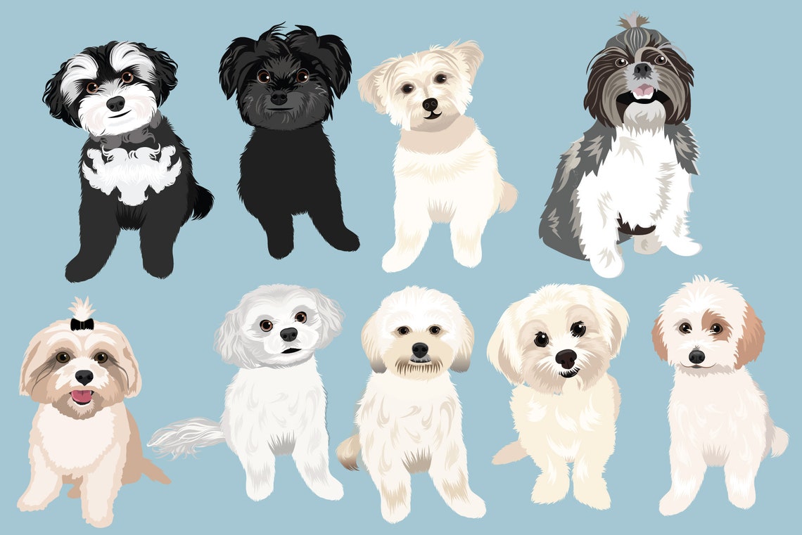 Shih Tzu Clip Art - Dog Breeds Editable Dogs Vector Pack - Shih Tzus Dog Vector Art - Etsy