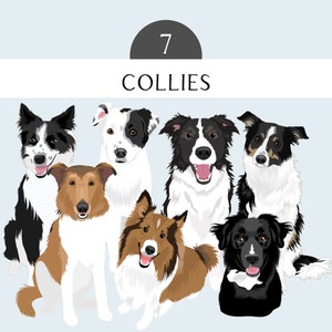 Collie Clip Art Sheltie Clip Art - Dog Breed Editable Vector Pack - Border Collie Dog Vector Art in EPS PNG