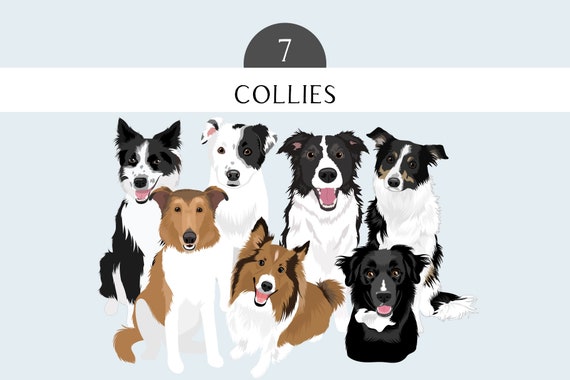 Collie Clip Art Sheltie Clip Art - Dog Breed Editable Vector Pack - Border Collie Dog Vector Art in EPS PNG